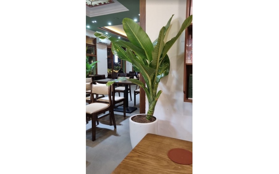 CHO THUÊ NHÀ LÔ GÓC KD PHỐ NGUYỄN VĂN LỘC, DT 150M2, 1 TẦNG, MT 17M, GIÁ 40 TRIỆU (CÓ TL)